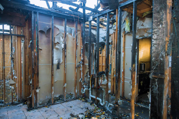 Professional Smoke Damage Removal technician working in Roseland, FL